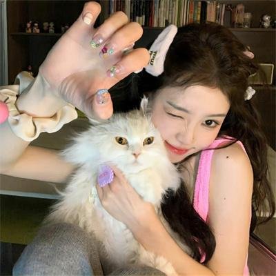 冻牌~地下麻将斗牌录~动画版